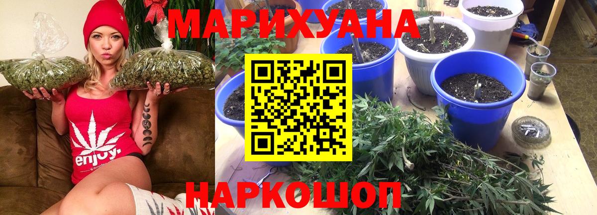 Марихуана гибрид Алексин